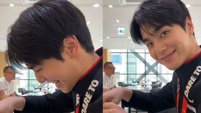 Pramugara Mirip Lee Min Ho (TikTok)